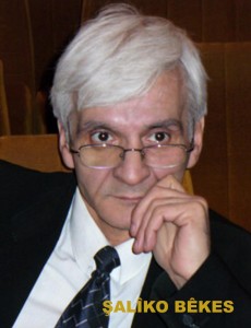 Şalîko Bêkes