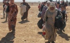 Aydınlardan Kobane’ye Destek Çağrısı
