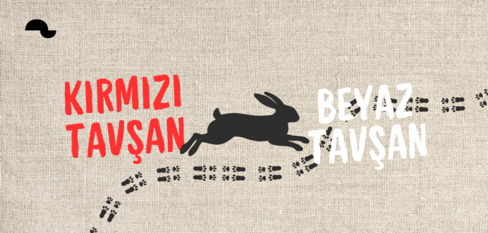 Beyaz Tavşan Kırmızı Tavşan | Her Akşam Yeniden Doğan Tiyatro Deneyimi