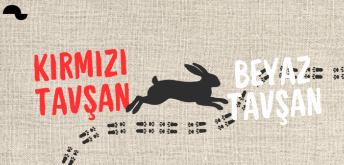 Tavşana “Kaç”, Tazıya “Tut”: Beyaz Tavşan Kırmızı Tavşan’da Metinsel İktidar, Biyografik Sermaye ve Etik Gerilim