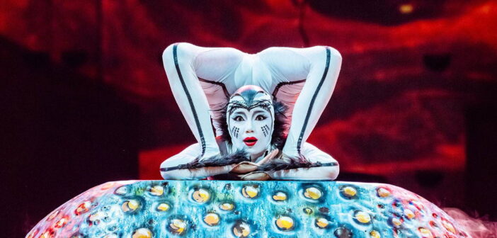 Cirque du Soleil “OVO” Gösterisiyle İstanbul’da